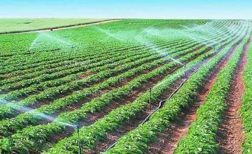 人人操女人的搔逼农田高 效节水灌溉